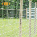 4 stóp ocynkowane ogrodzenie z siatki w polu farmy